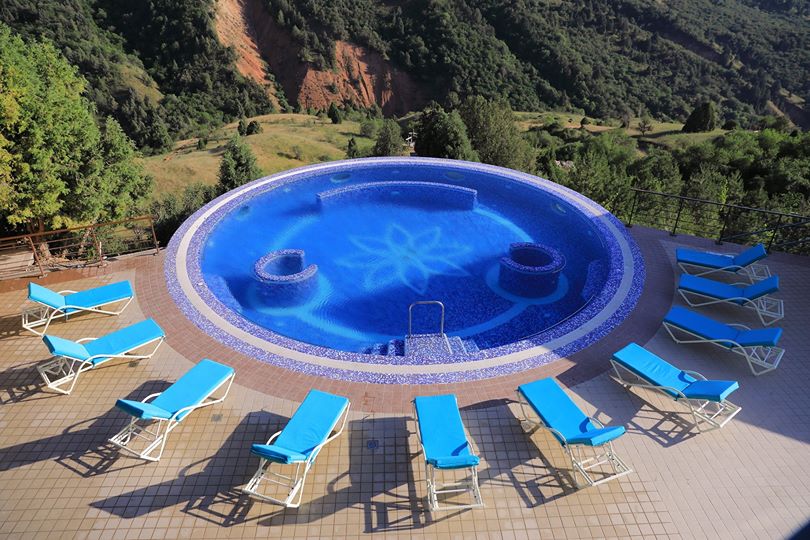 Tibet Mount's Flora — Бостанлык, фото 10 из 10