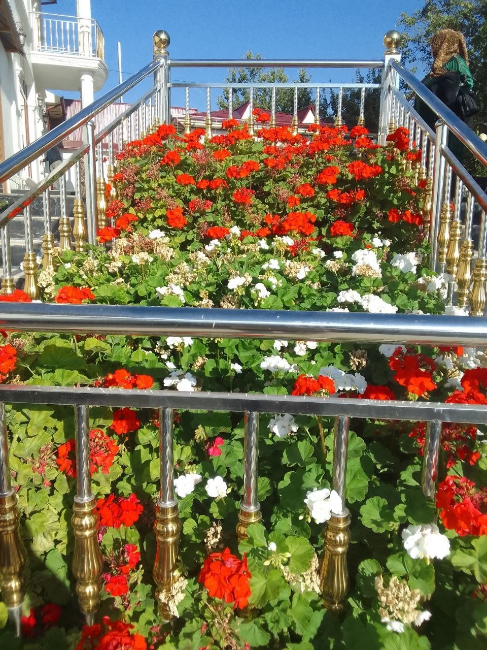 Manzara — Бостанлык, фото 11 из 11